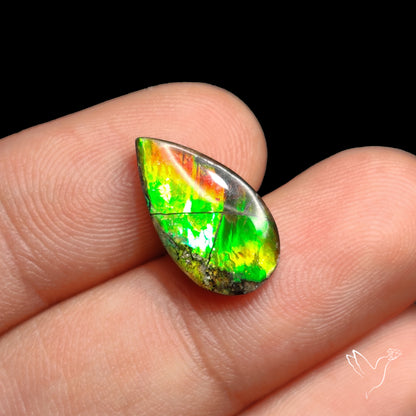 AAA Multi Flash Green Ammolite Cabochon