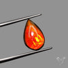 AAA Red Orange Ammolite Cabochon