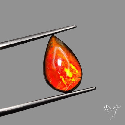 AAA Red Orange Ammolite Cabochon
