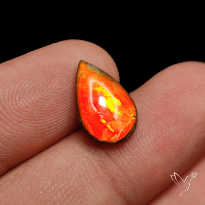 AAA Red Orange Ammolite Cabochon