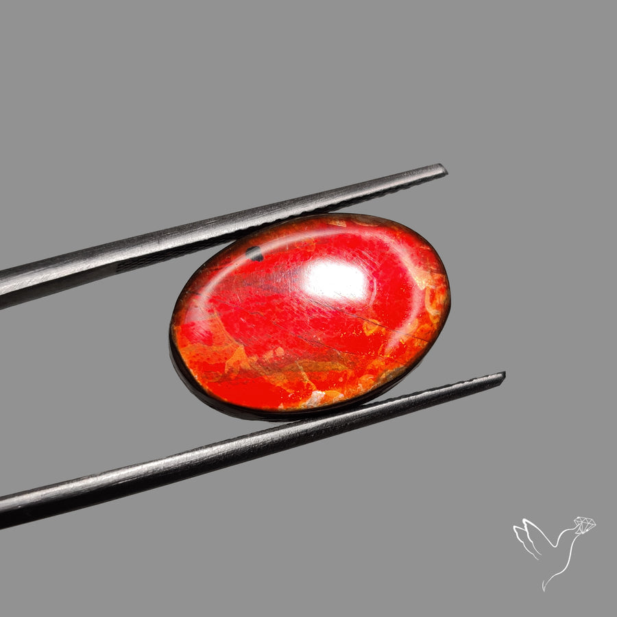 AAA Deep Red Ammolite Cabochon