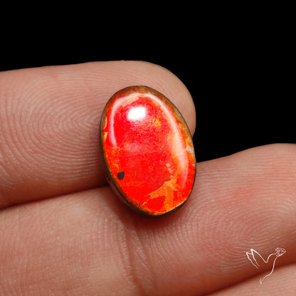 AAA Deep Red Ammolite Cabochon