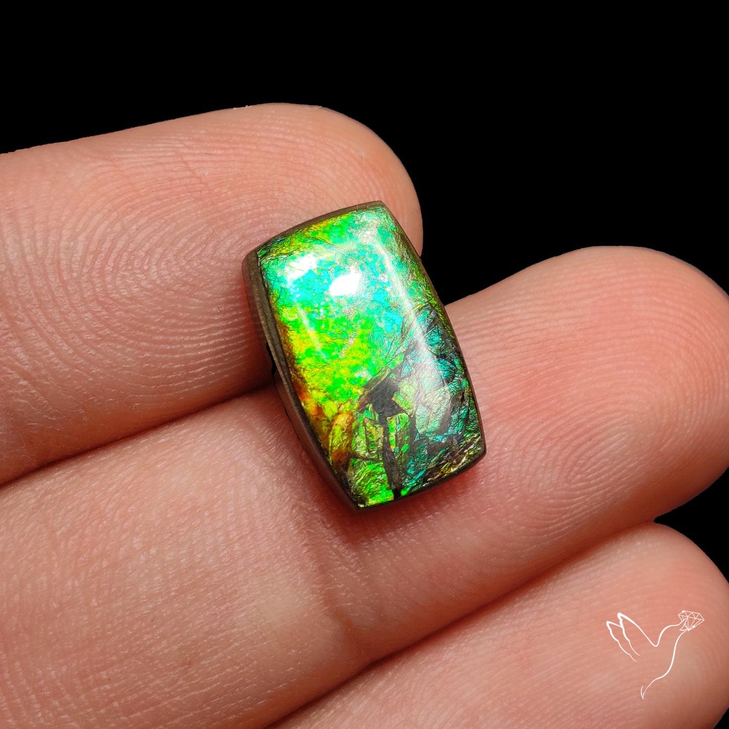 AAA Green Gold Ammolite Cabochon