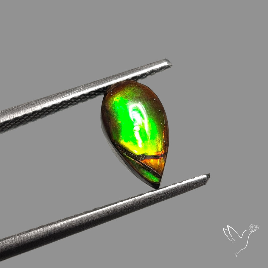 AAA Red Green Ammolite Cabochon