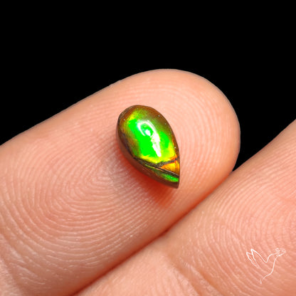 AAA Red Green Ammolite Cabochon