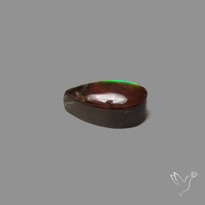 AAA Red Green Ammolite Cabochon
