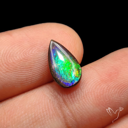 AAA Yellow Green Ammolite Cabochon