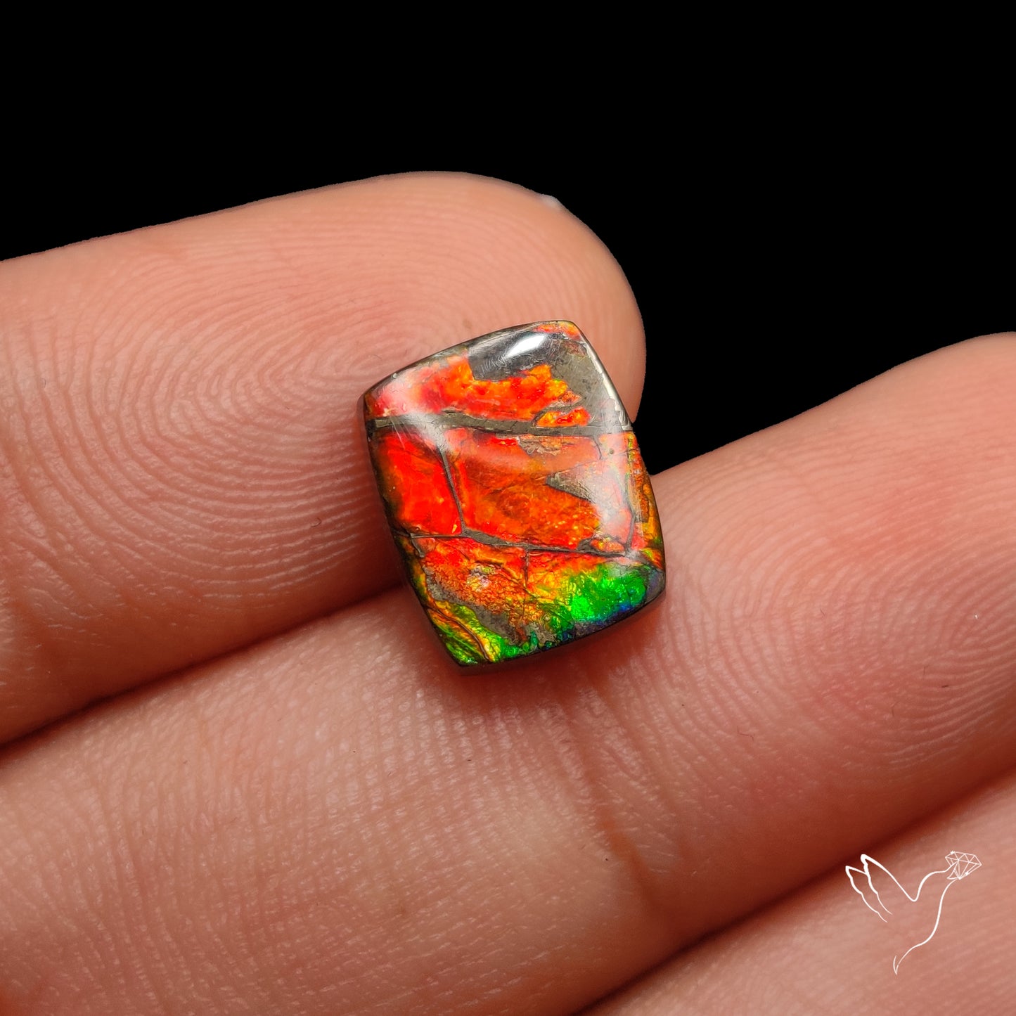 AAA Red Gold Ammolite Cabochon