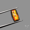 AAA Golden Orange Ammolite Cabochon