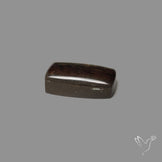 AAA Golden Orange Ammolite Cabochon