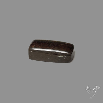 AAA Golden Orange Ammolite Cabochon
