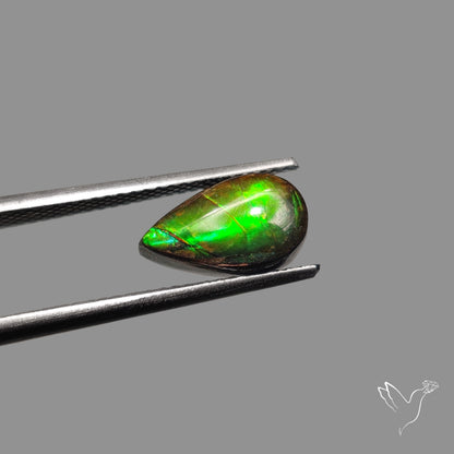 AAA Neon Green Ammolite Cabochon