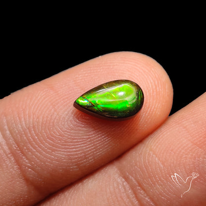 AAA Neon Green Ammolite Cabochon