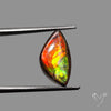 AAA Golden Orange Ammolite Cabochon