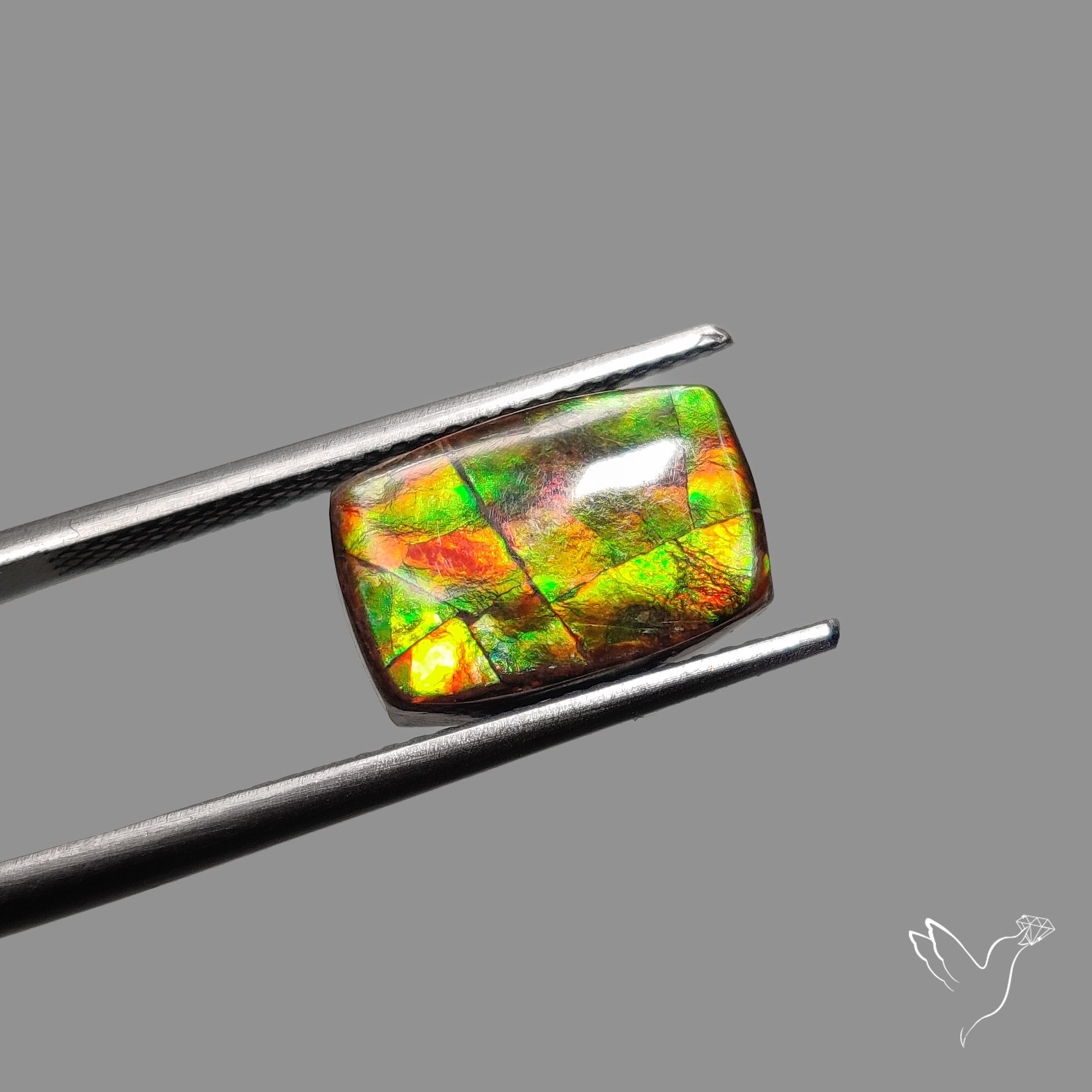 AAA Green Gold Ammolite Cabochon