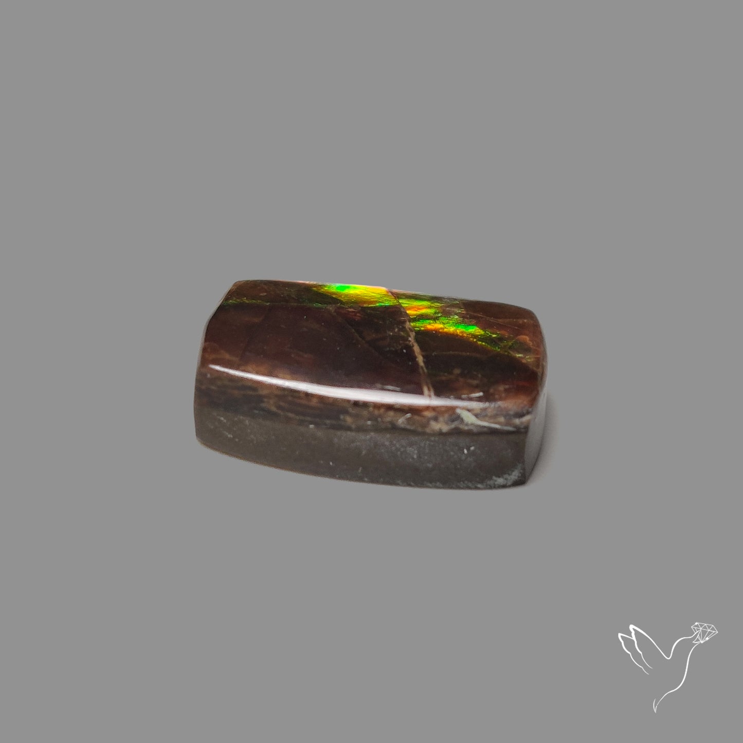 AAA Green Gold Ammolite Cabochon