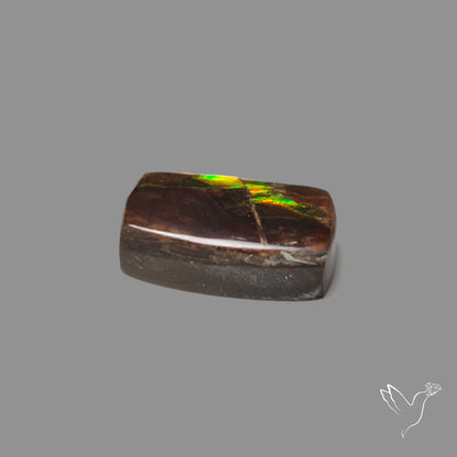 AAA Green Gold Ammolite Cabochon