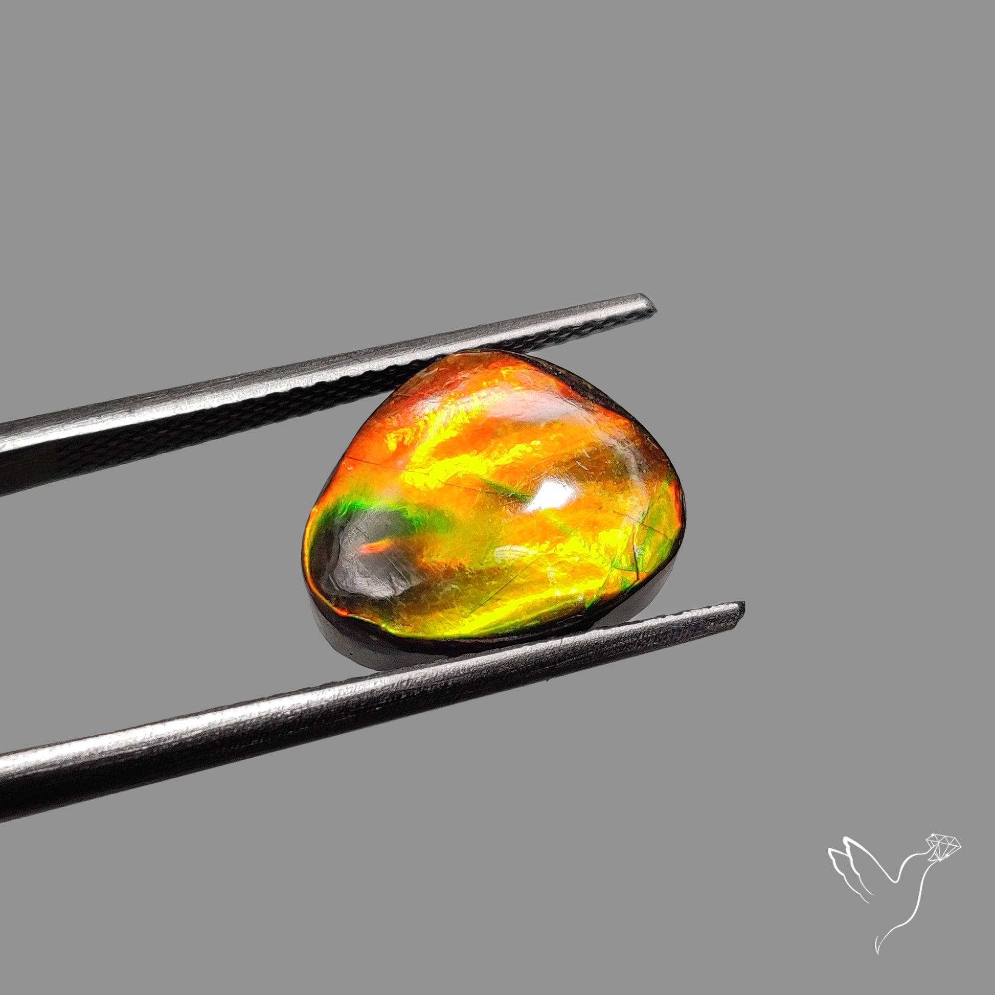 AAA Golden Orange Ammolite Cabochon