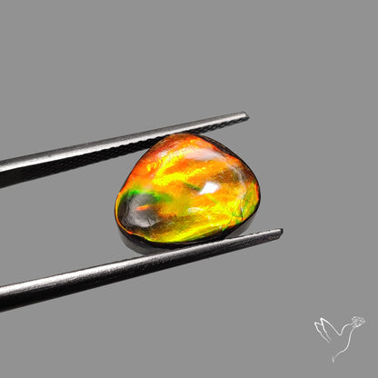 AAA Golden Orange Ammolite Cabochon