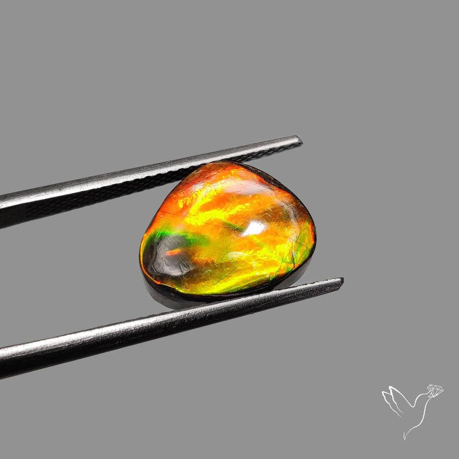 AAA Golden Orange Ammolite Cabochon