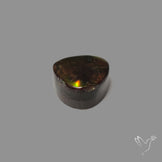 AAA Golden Orange Ammolite Cabochon