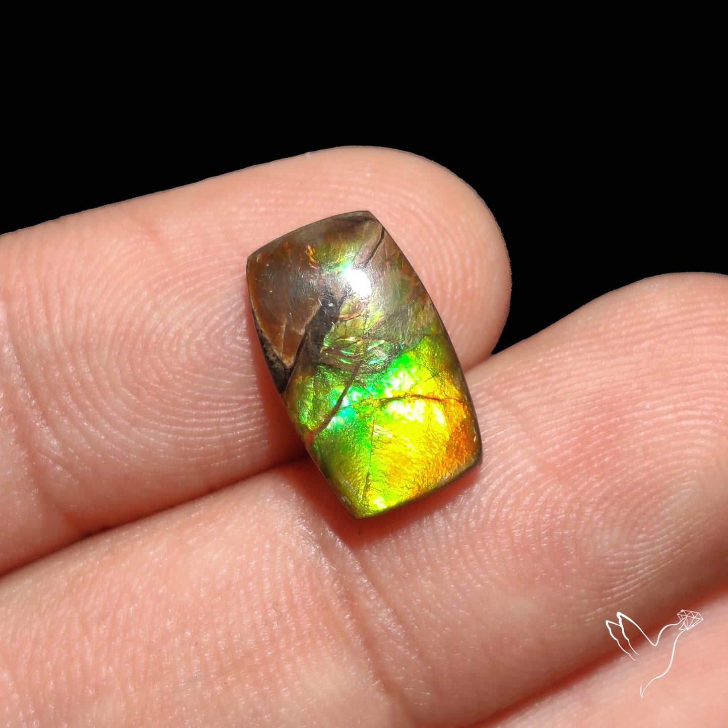 AAA Green Gold Ammolite Cabochon