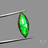 AAA Green Ammolite Cabochon