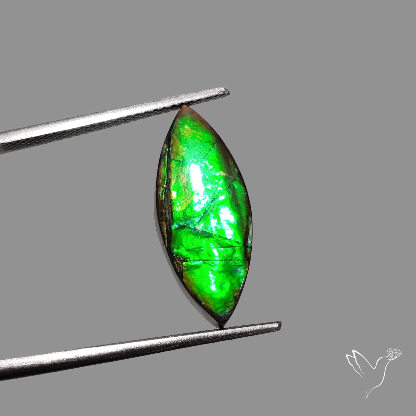 AAA Green Ammolite Cabochon