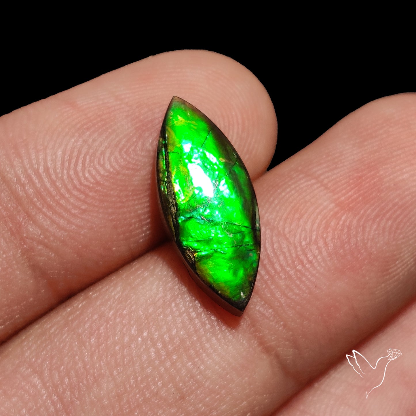 AAA Green Ammolite Cabochon