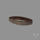 AAA Green Ammolite Cabochon