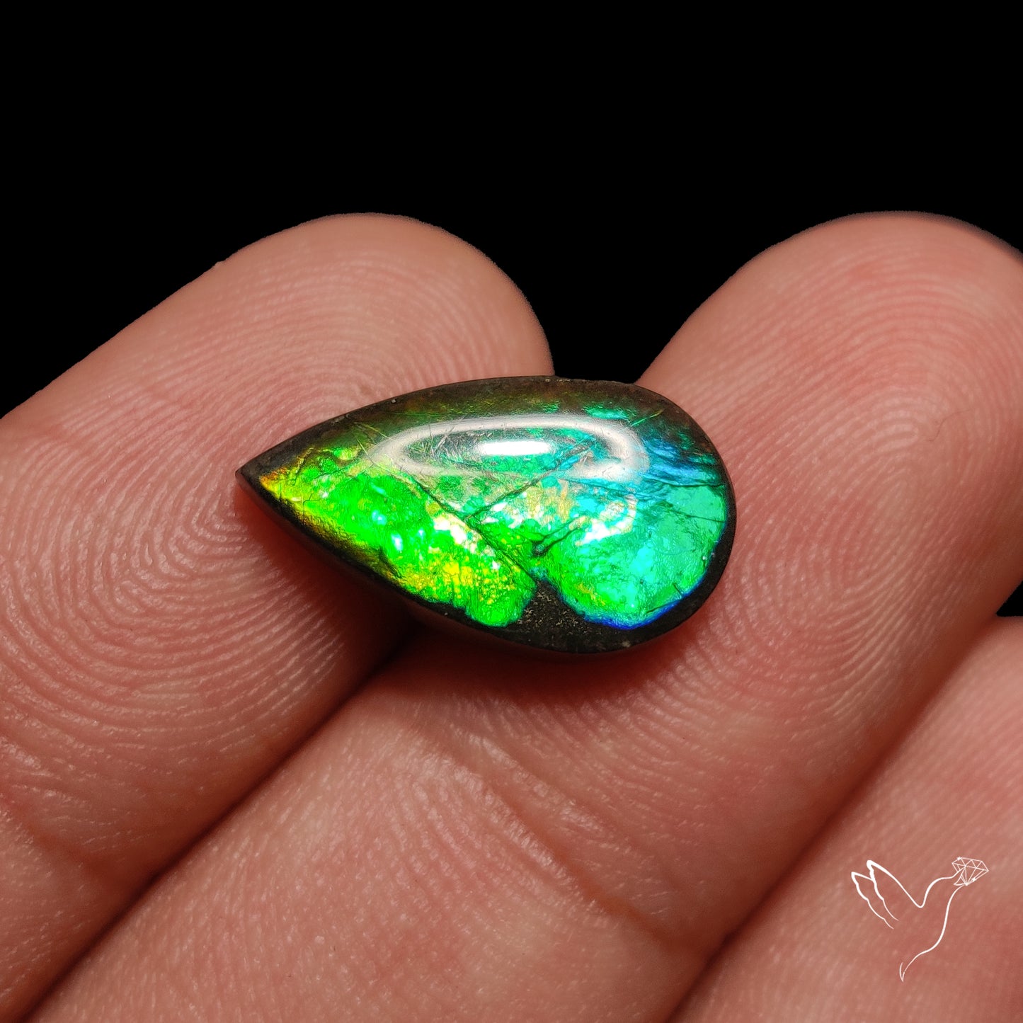 AAA Teal Green Ammolite Cabochon