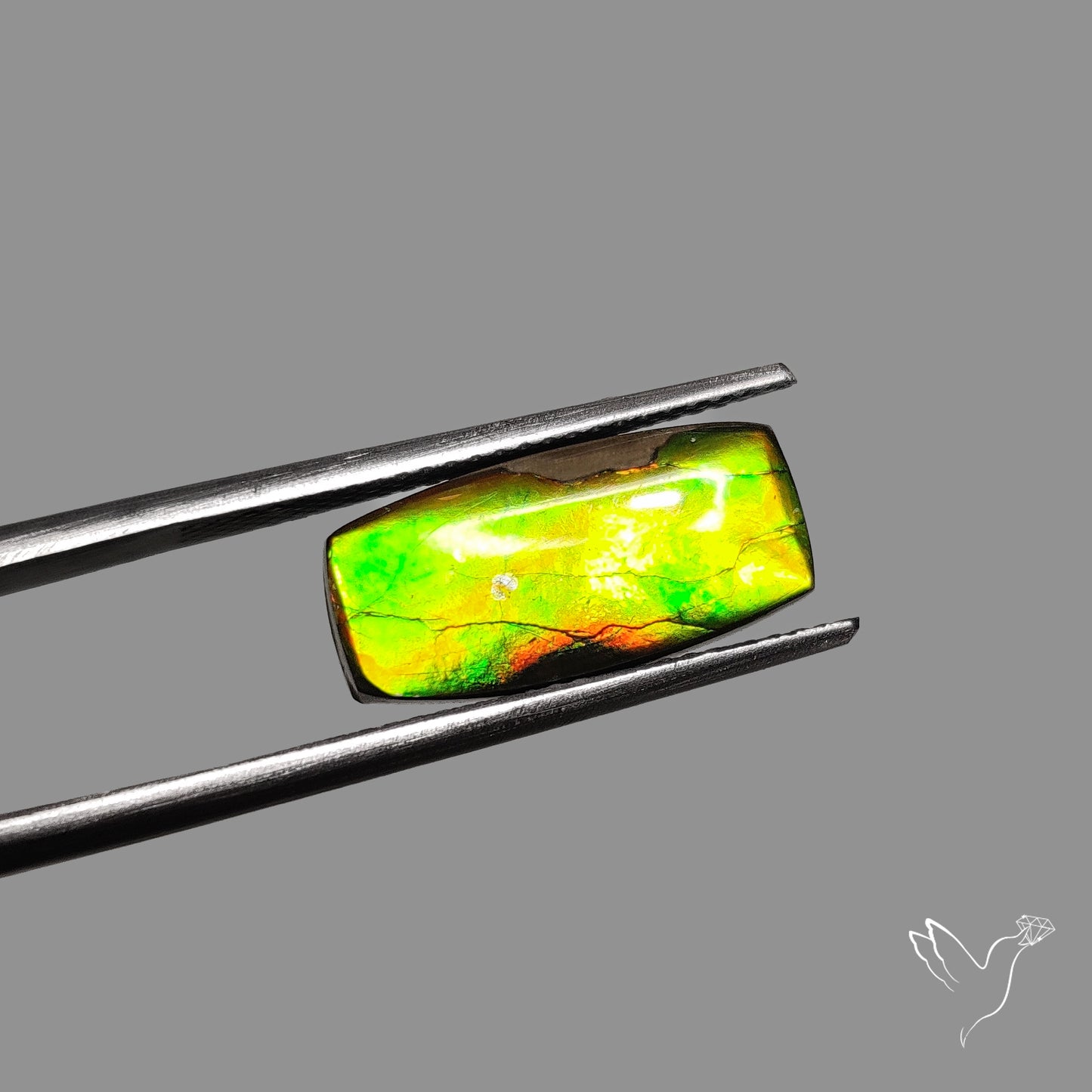 AAA Neon Green Ammolite Cabochon