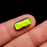 AAA Neon Green Ammolite Cabochon