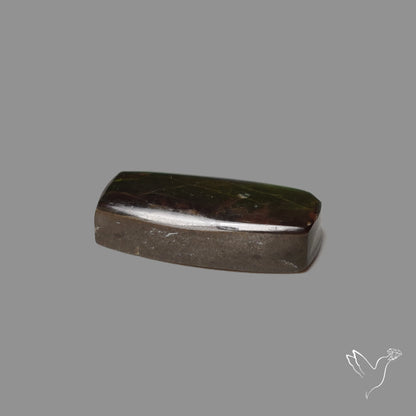 AAA Neon Green Ammolite Cabochon