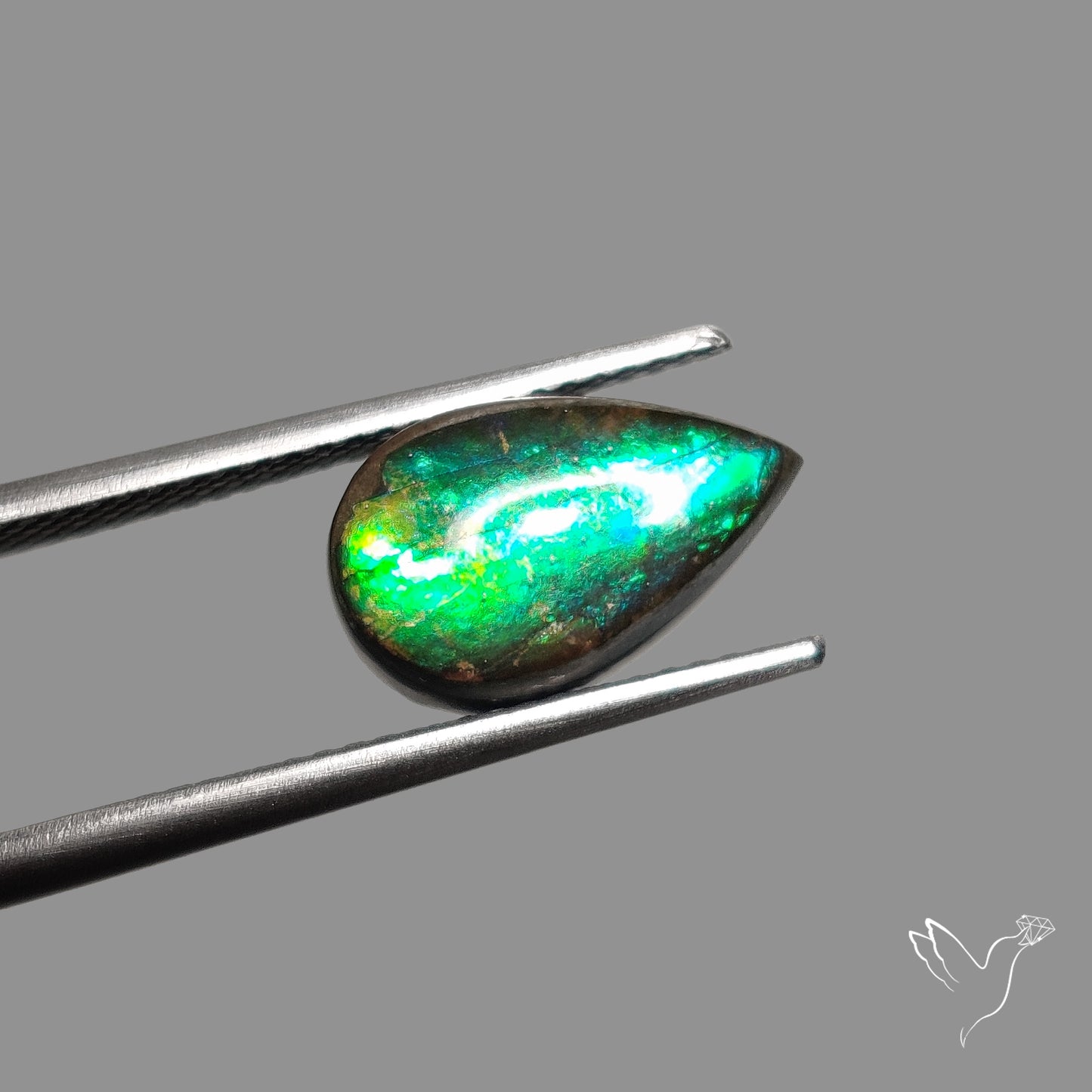 AAA Teal Green Ammolite Cabochon