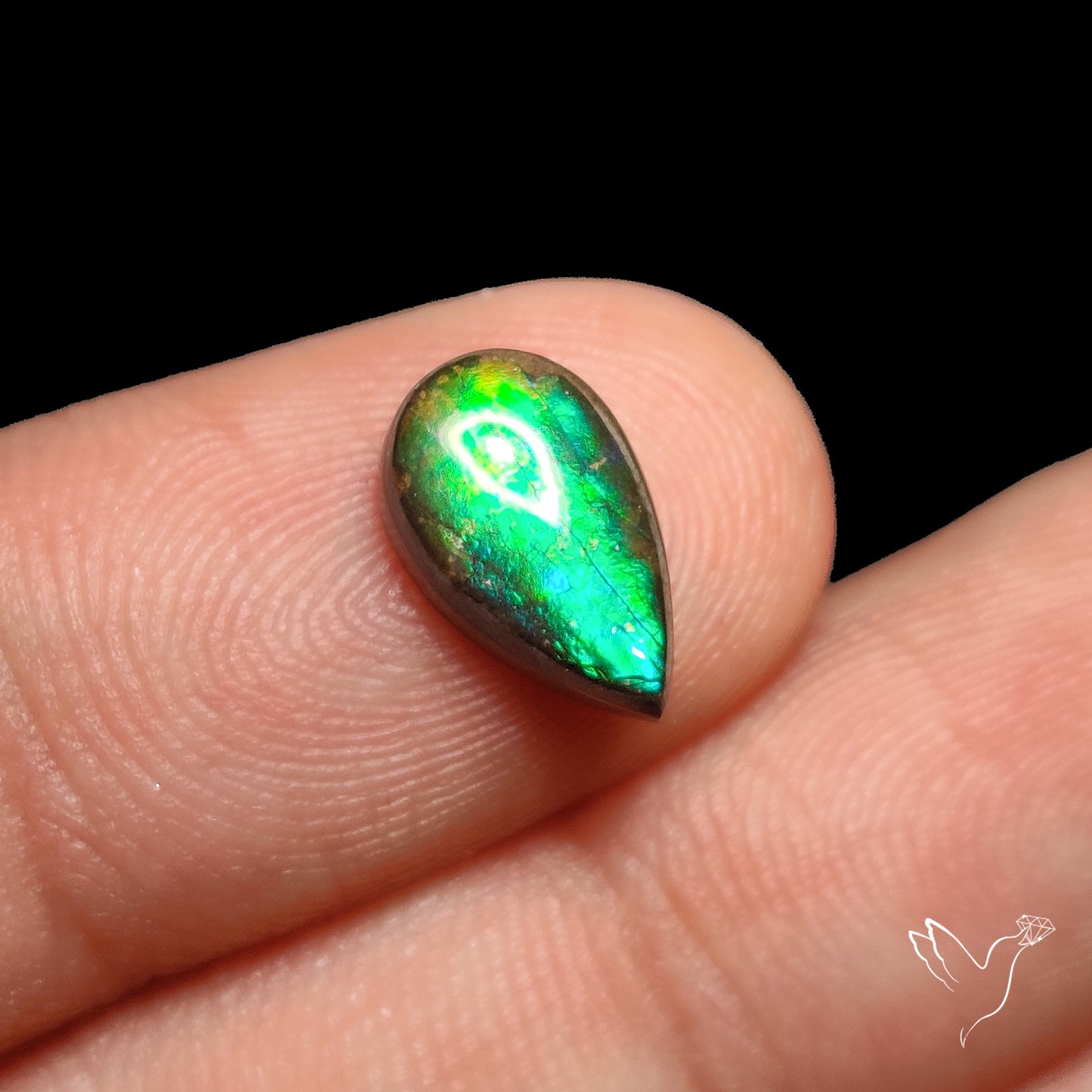 AAA Teal Green Ammolite Cabochon