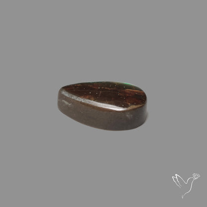 AAA Teal Green Ammolite Cabochon