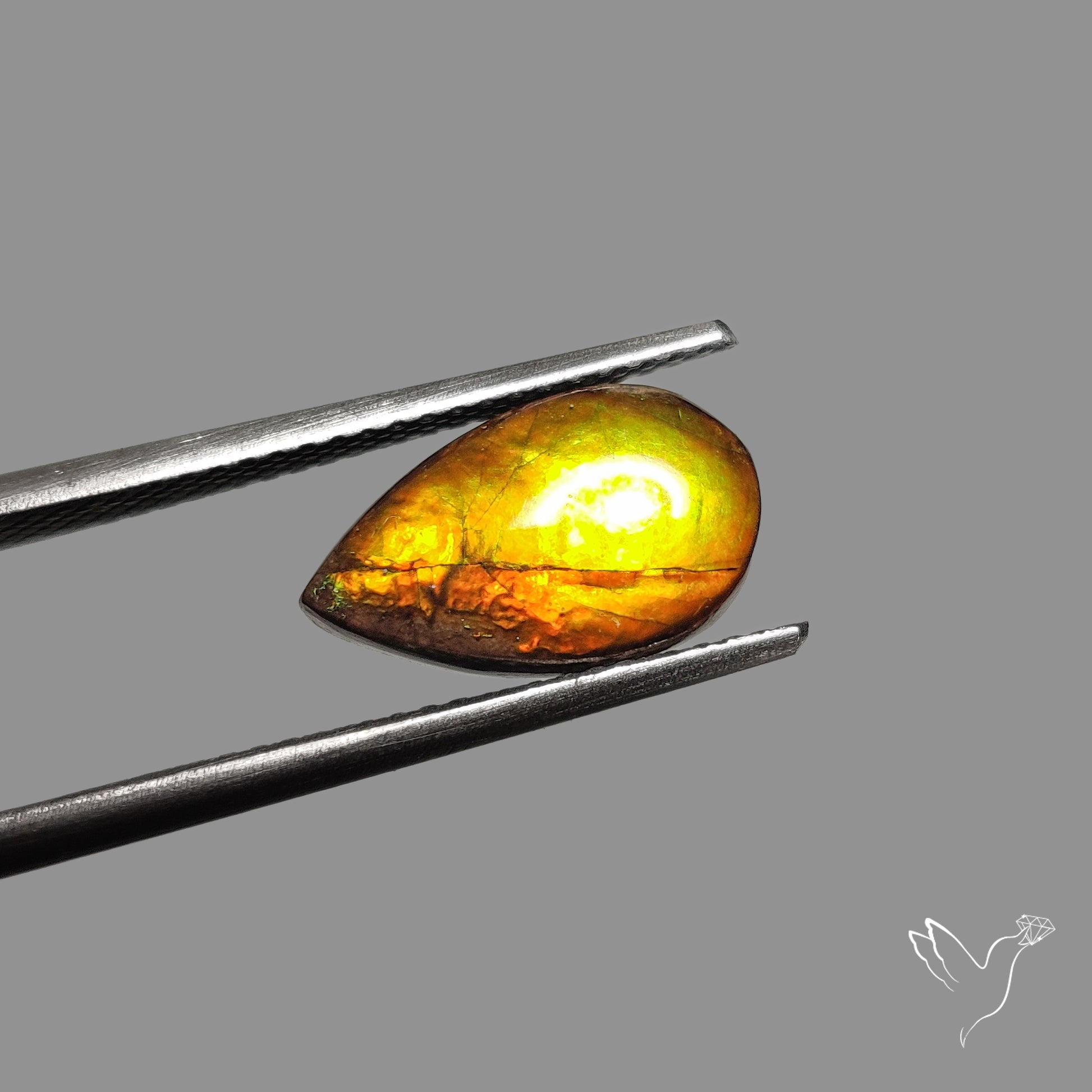 AAA Golden Yellow Ammolite Cabochon