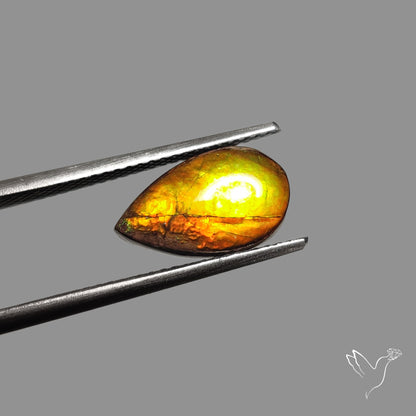 AAA Golden Yellow Ammolite Cabochon
