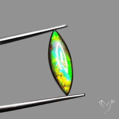 AAA Yellow Green Ammolite Cabochon