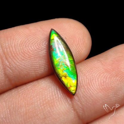 AAA Yellow Green Ammolite Cabochon