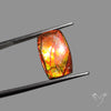 AAA Orange Green Ammolite Cabochon