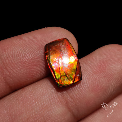 AAA Orange Green Ammolite Cabochon