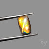 AAA Golden Green Ammolite Cabochon