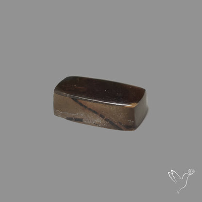 AAA Golden Green Ammolite Cabochon