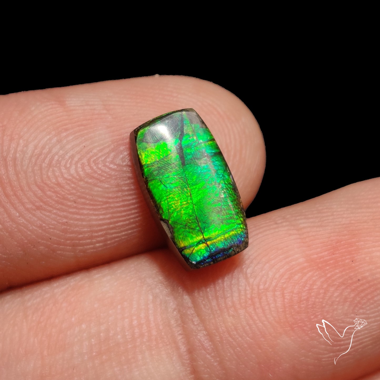 AAA Neon Green Ammolite Cabochon