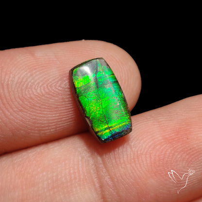 AAA Neon Green Ammolite Cabochon