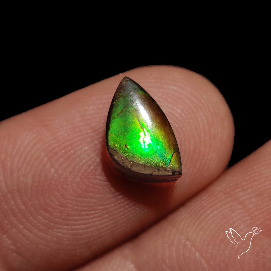 AAA Green Ammolite Cabochon