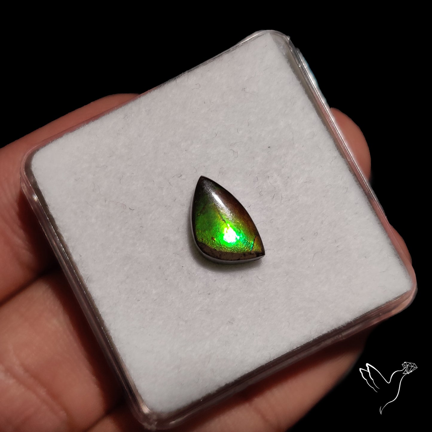 AAA Green Ammolite Cabochon