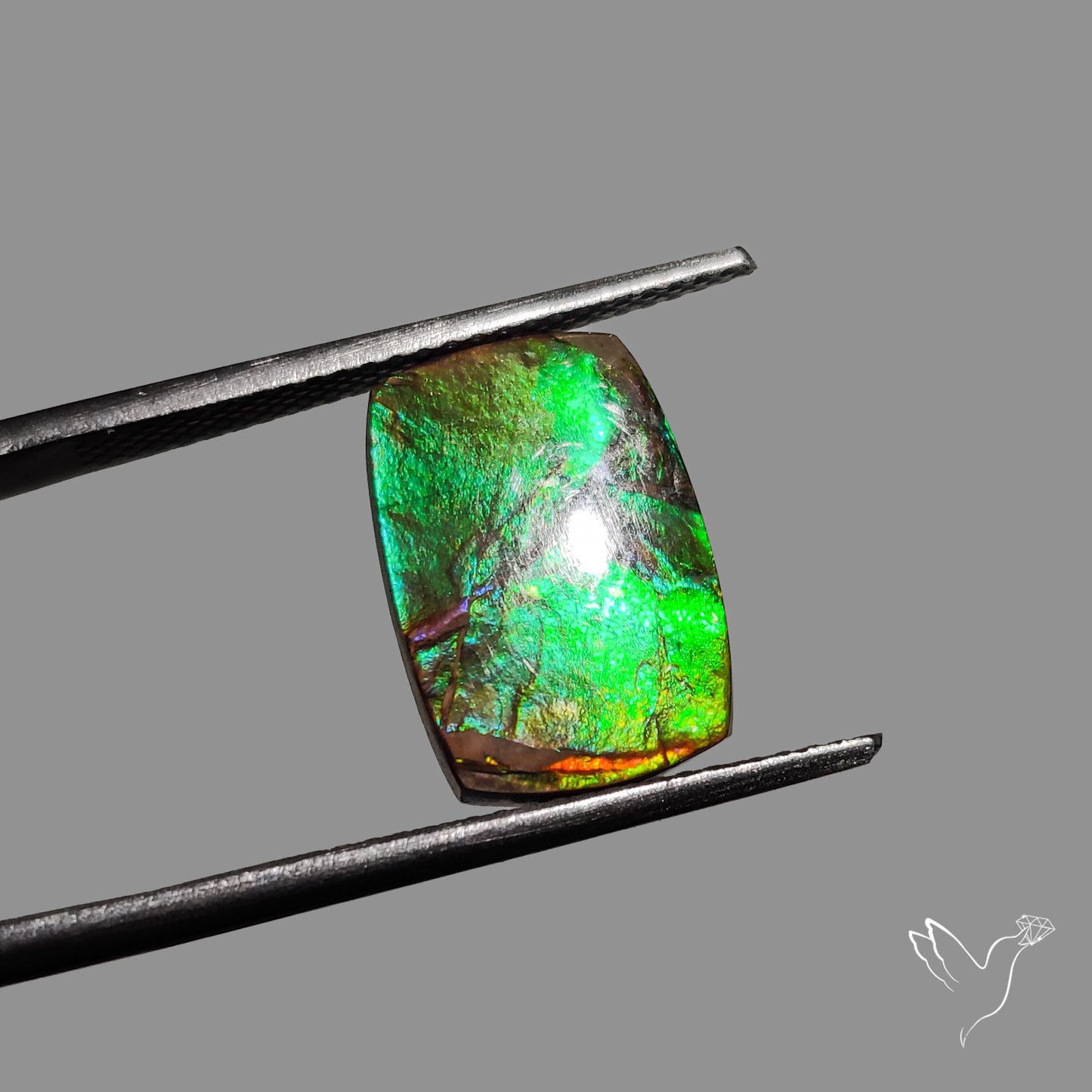 AAA Green Orange Ammolite Cabochon